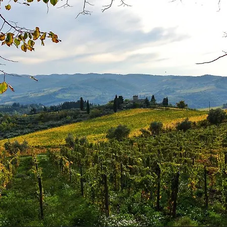 Ferienhaus Borgo Castagnoli-3 By Interhome Greve in Chianti