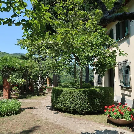 Ferienhaus Borgo Castagnoli-3 By Interhome *
